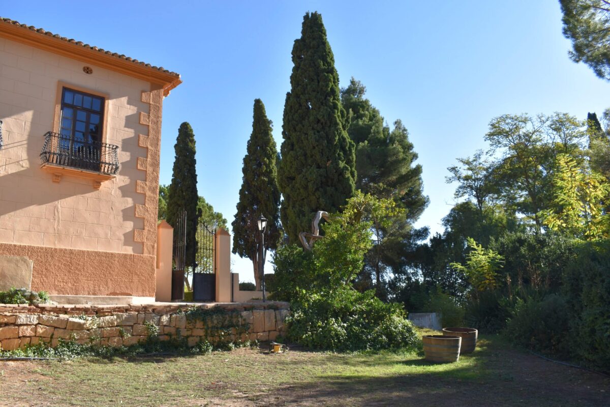 bodega-vera-de-estenas