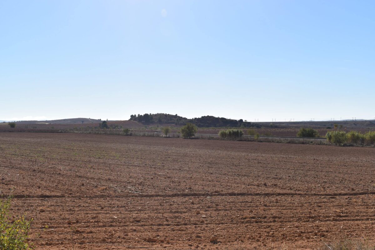 bodega-vera-de-estenas