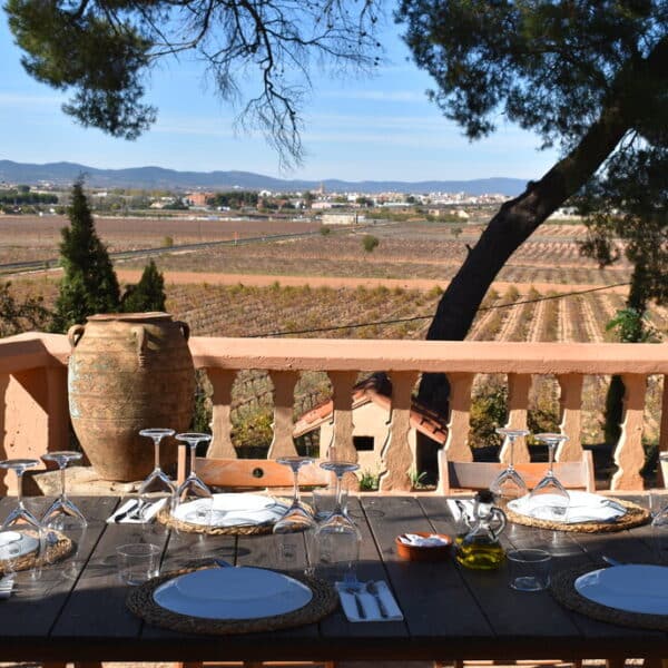 bodegas de requena, muy cerca de Valencia