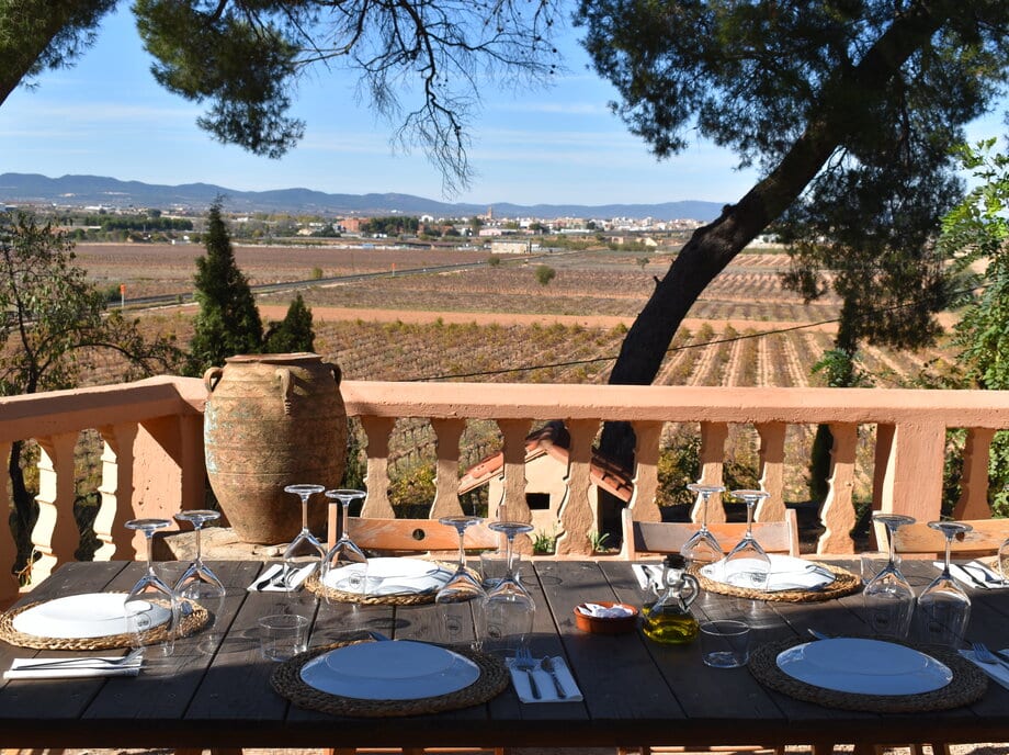 bodegas de requena, muy cerca de Valencia