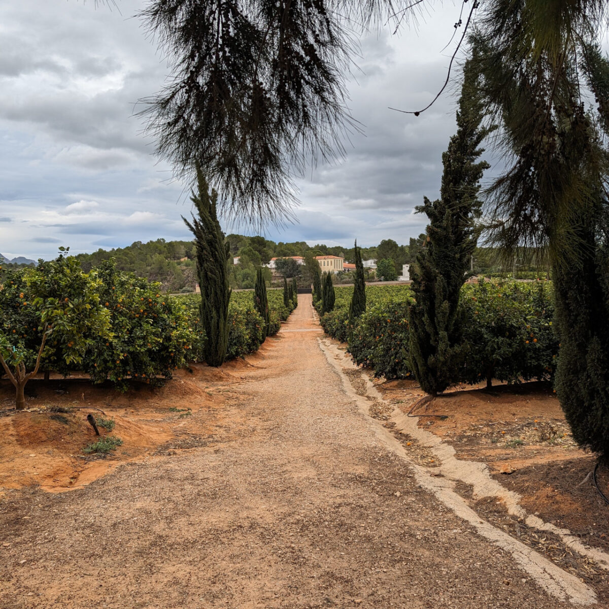 Huerto ribera