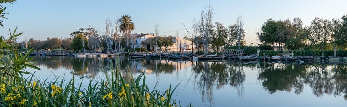 rio-barcos-albufera