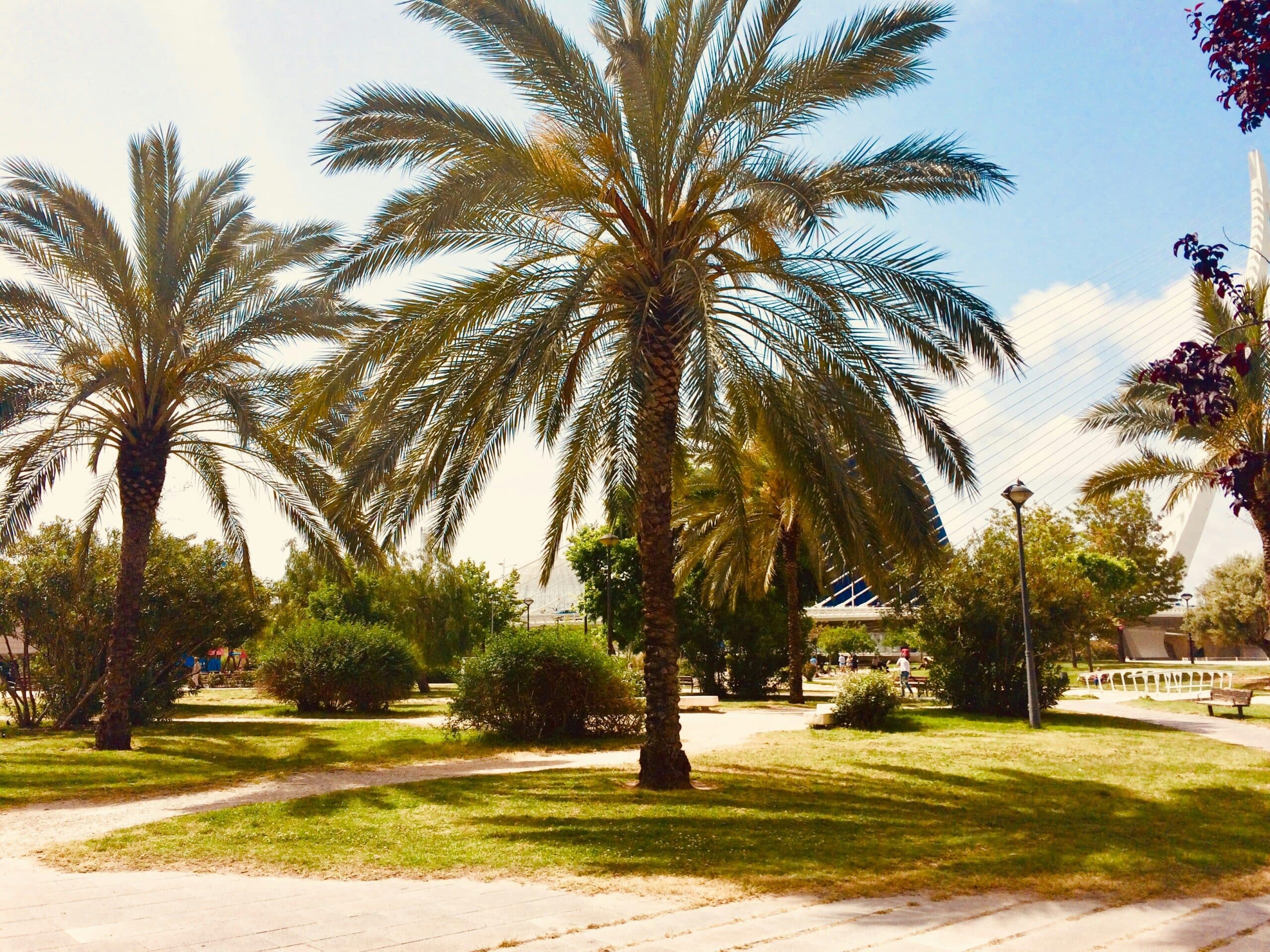 valencia's turia riverbed that was turned into park, a fact about valecia